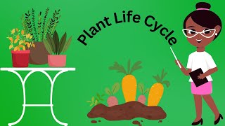 The Amazing Plant Life Cycle🌱Let The Children Play🍓🥭 Simple Science for Preschool Children [upl. by Adnyc]