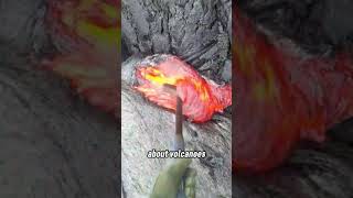 Collecting LAVA Up Close—This Is INSANE shorts [upl. by Brookner427]