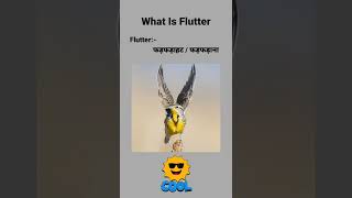 Flutter Meaning 🤔😉  What Is Flutter 🤔  Flutter Meaning In Hindi [upl. by Yllil]