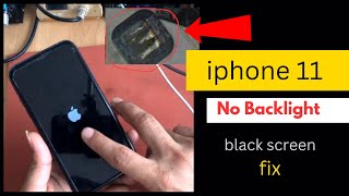 iPhone 11 No Backlight Black Screen No Display Fix Blank Screen [upl. by Nilyac]