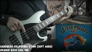 Steve Miller Band  SerenadeBass Cover [upl. by Etnoj]