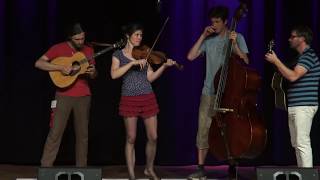 Swing Division 18 and over  Round 2 Finals  2019 Weiser Fiddle Contest [upl. by Eenaj]