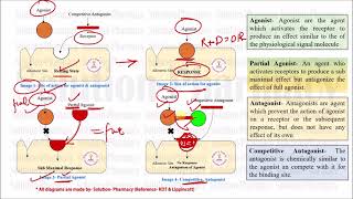 Class 36 Competitive and Noncompetitive antagonist  Medicinal Chemistry 01  What is Antagonist [upl. by Ardnatal]