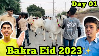 Bakra Eid 2023😍DAY 01✨ [upl. by Anoiuq]