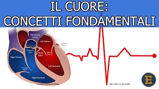 52 Il Cuore concetti fondamentali 745 min [upl. by Lisetta492]