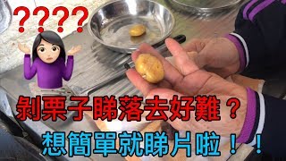 【剝栗子】睇落去好難？想簡單就睇片啦 [upl. by Tessi637]