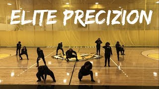 Elite Precizion Step Team DePauw University 2017 [upl. by Aleuname991]