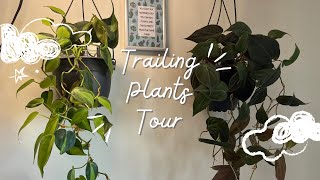 Trailing Plants Tour [upl. by Tobit]