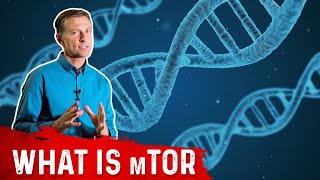 What is mTOR – DrBerg [upl. by Tezil]