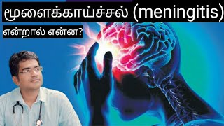 மூளைக் காய்ச்சல் meningitis explanation in tamil medical awareness in tamil [upl. by Cassell]