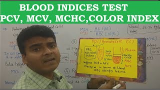 Blood Indices  PCV MCV MCH MCHC Test amp formula  Hematocrit  MCQ MLT Nursing NEET PG GPAT [upl. by Oine]