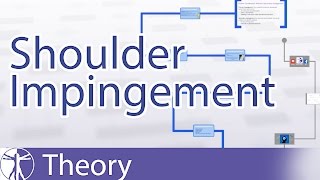 Shoulder Impingement Explained [upl. by Assirrem]