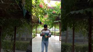 Meri to koi galti hi nahin thi 🥲😂 shorts funny diwali youtubeshorts theboyz [upl. by Eiralc]