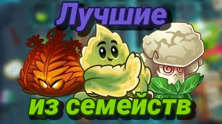 Лучшие РАСТЕНИЯ каждого СЕМЕЙСТВА  Plants vs Zombies 2 [upl. by Wamsley]