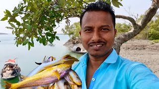 বড় বড় ছুচো ভোলা পেলাম বড়শিতে😀 । Sundarban fishing video Tradifoodsundarban [upl. by Odyssey449]