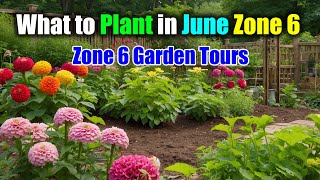 what to plant in June zone 6 Zone 6 Garden Tours [upl. by Lanfri]