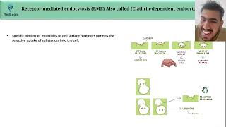 L12  PRINCIPLES OF RECEPTOR MEDIATED ENDOCYTOSIS  PART1 [upl. by Daisi]