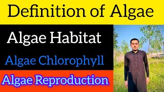 Define Algae  Thallus Structure  Reproduction Of Algae [upl. by Ilhsa]