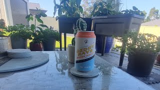 Beddy Rays Hazy Pale review Green Beacon Brewing mix [upl. by Artinahs]