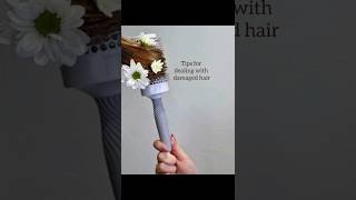 How to deal with damaged hair  LITTLE TIPS shorts ytshorts damagedhair hairtreatment [upl. by Assenna]