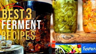 3 SIMPLIEST Ways to Start Fermenting Recipes YOULL LOVE Promise [upl. by Ayekat]