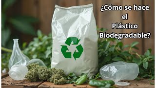 Cómo se Fabrica el Plástico Biodegradable Alternativas Ecológicas [upl. by Mellitz]