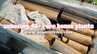 Unboxing 40 House Plants🪴  Unboxing Plant Shipment For My Plant Store  111324 [upl. by Alarick]