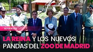 La reina Sofía da la bienvenida a los dos nuevos pandas del Zoo de Madrid [upl. by Uol]