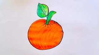 How To Draw An Orange Step By Step  Easy Fruit Drawing [upl. by Struve]