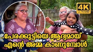 MY MOM IS MEETING HER GRANDDAUGHTER FOR THE FIRST TIME  KERALA  Vlog 472 [upl. by Nosydam959]