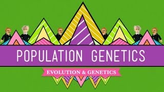 Population Genetics When Darwin Met Mendel  Crash Course Biology 18 [upl. by Singer75]