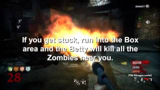 INSANE Double Tap FLAME THROWER strategy  Der Riese Glitch Nazi Zombies 2010 [upl. by Garrard159]