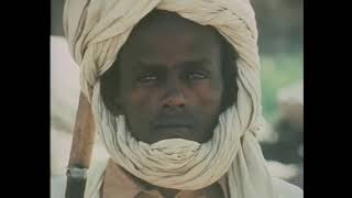 Documentaire Les Revolutionnaires du Tchad  Histoire du Tchad [upl. by Anahsit]