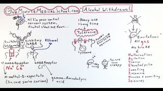 Alcohol Withdrawal Featuring Drunkbrain  One Minute Medical School [upl. by Hassin]