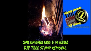 Tutorial come rimuovere radici di un albero fai da teHow to DIY tree stumps or root removal [upl. by Im]