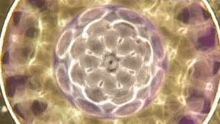 Nerve Cell Regeneration Cymatics [upl. by Goddard]