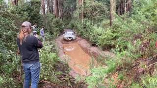 Woodmore Track  Toolangi  GU Patrol TB45 [upl. by Amsab917]