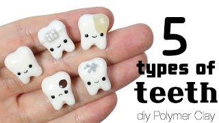 How to DIY 5 Different Teeth Variations Polymer Clay Tutorial with some educational content [upl. by Eilis]