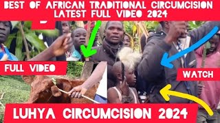 Best of Luhya African traditional Circumcision process Full video 2024Bukusu Banyala Embalu 🗡️ [upl. by Eirehs]