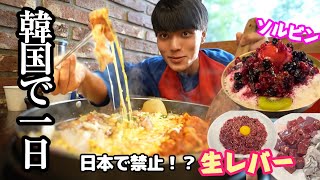 【生レバー】含め韓国グルメを1日食べ歩きました🇰🇷韓国 韓国グルメ [upl. by Inama]