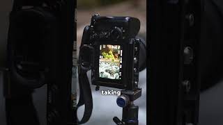 How to get sharp trees and blurry water in landscape photography [upl. by Latimer922]