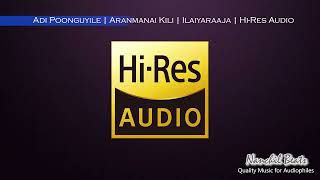 Adi Poonguyile  Aranmanai Kili  Ilaiyaraaja  Mano amp Minmini  HiRes Audio [upl. by Narmak549]