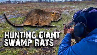 Giant SWAMP RATS Destroy 100000 Acres of Wetlands Annually [upl. by Nishom]