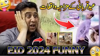 Eid ul Azha Qurbani animals Funny Videos 2024 [upl. by Yrot782]