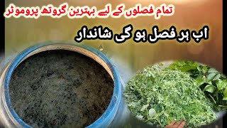 How To Make Organic N P K Fertilizer  Organic Carbon ارگینک NPK خود تیار کریں [upl. by Humpage]