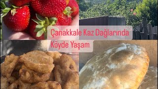 Köyümden Kazdağları Yenice Çanakkale den sevgilerköydeyaşam kazdaglari doğalyaşam [upl. by Aynas]