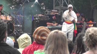 garance reggae festival 2014 live on stage ras micheal [upl. by Amikan]