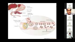 Lipids  Digestion And Absorption Of Dietary Lipids  Biochemistry Lecture  Ample Medical Lecture [upl. by Isewk272]