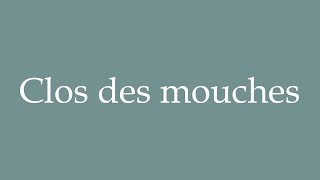 How to Pronounce Clos des mouches Correctly in French [upl. by Anaugal847]