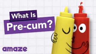 What is Precum AskAMAZE [upl. by Ahtelat920]